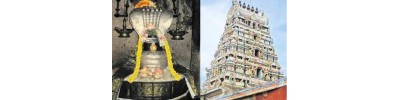 113. திருத்தெளிச்சேரி